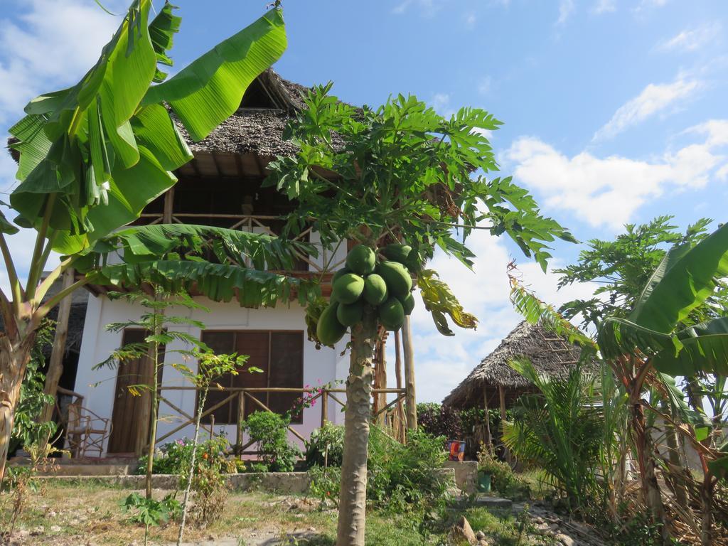 Bed and Breakfast Kilimani House Nungwi Exterior foto