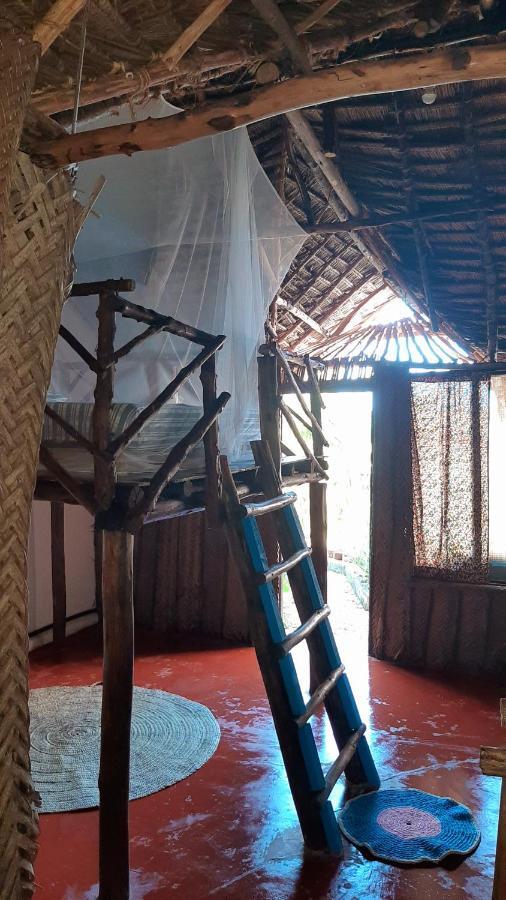 Bed and Breakfast Kilimani House Nungwi Exterior foto